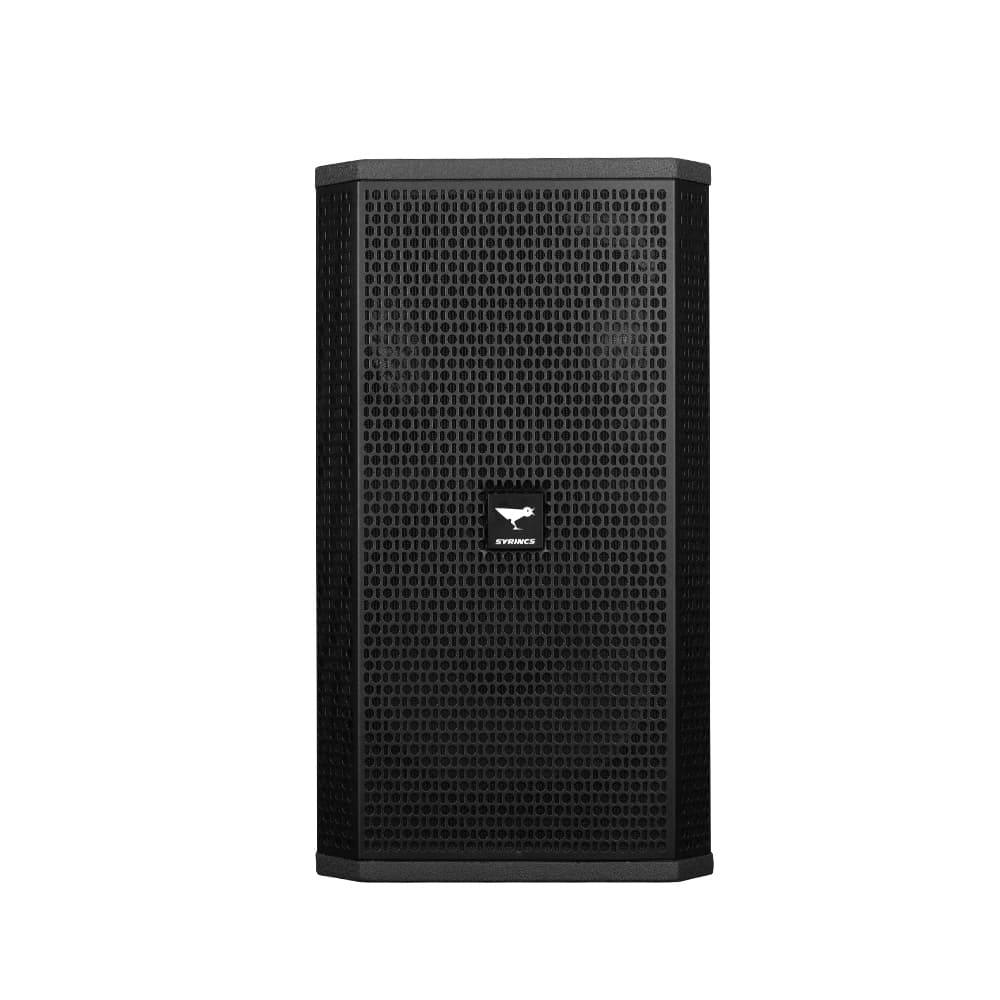 CK-12-12-Zoll-Bassreflex-Zweiwege-Lautsprecher